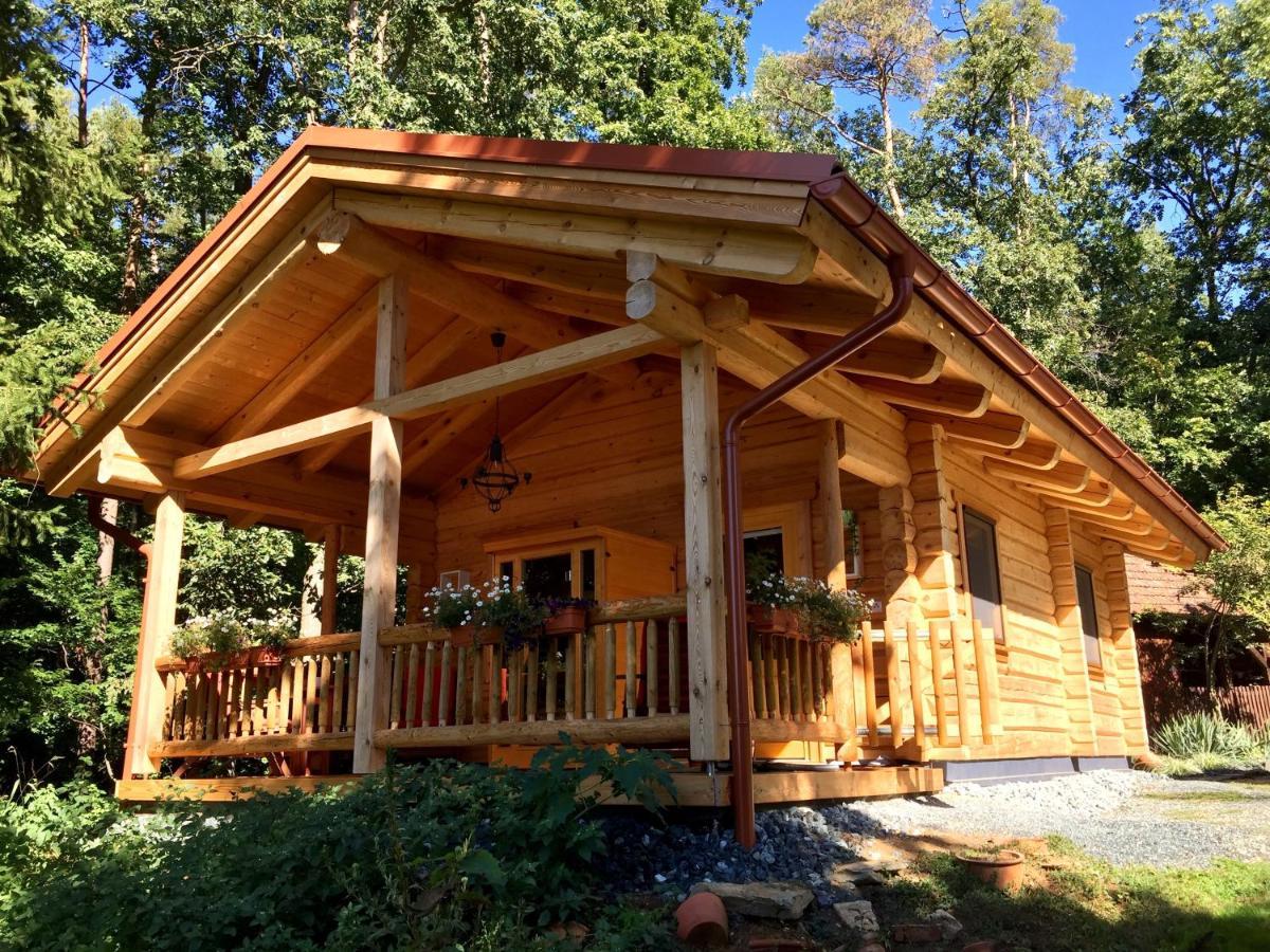 Blockhaus Chalet Mit Beheizbarem Badefass Und Infrarotsauna Auf Der Terrasse Oberschutzen Экстерьер фото