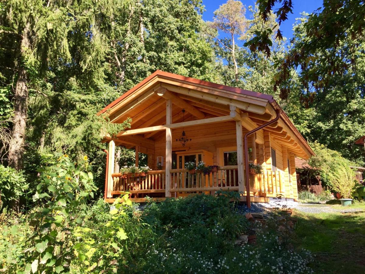 Blockhaus Chalet Mit Beheizbarem Badefass Und Infrarotsauna Auf Der Terrasse Oberschutzen Экстерьер фото